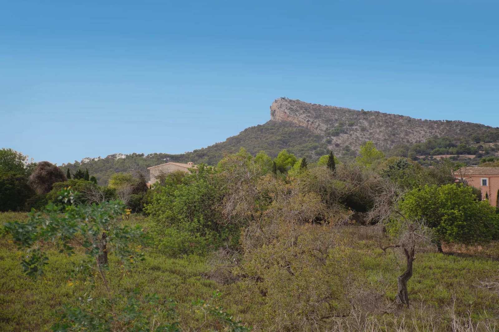 2 bedroom Finca/Country House for sale in Calas de Mallorca - € 1,100,000 (Ref: 7110605)