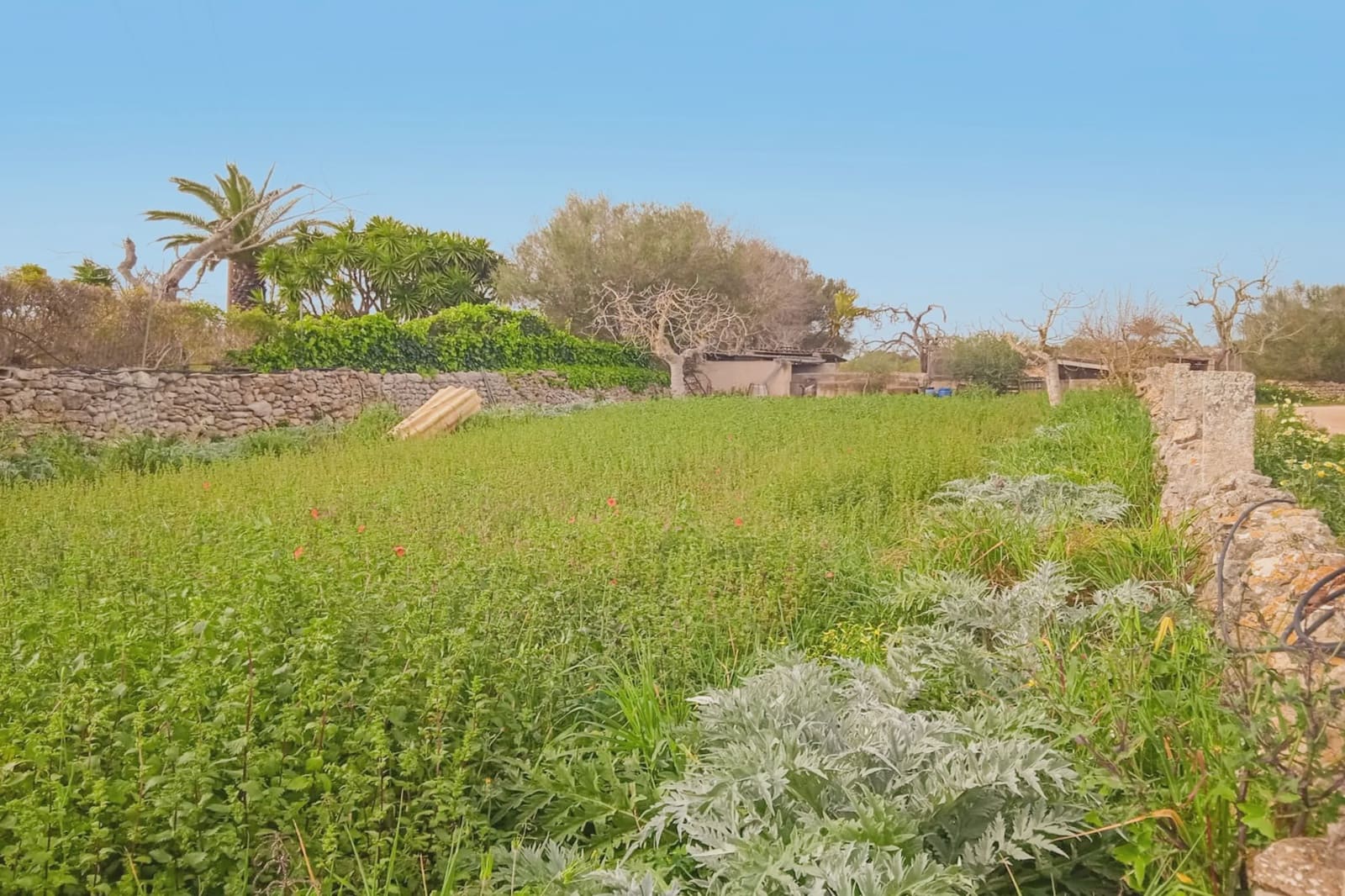 5 bedroom Finca/Country House for sale in Felanitx - € 950,000 (Ref: 7180579)