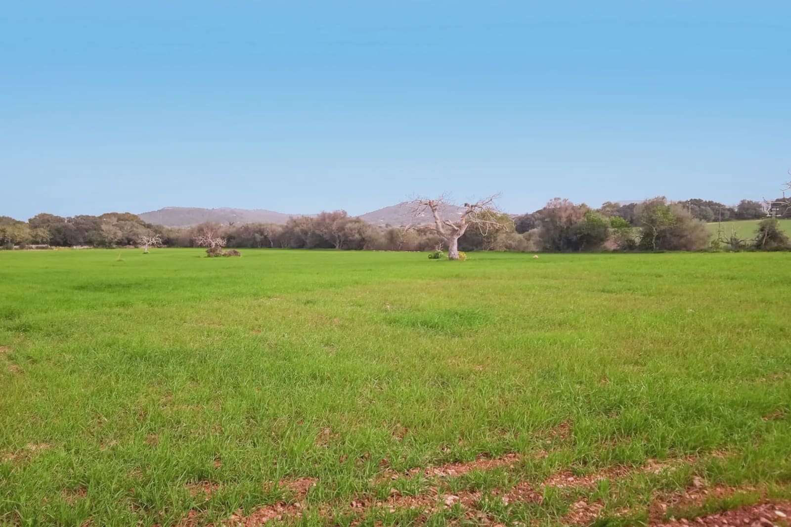 5 bedroom Finca/Country House for sale in Felanitx - € 950,000 (Ref: 7180579)