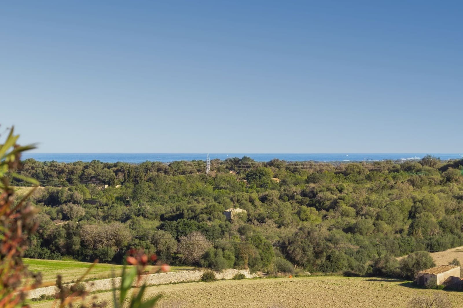 5 sypialnia Dom na sprzedaż w Muro - 1 500 000 € (Ref: 7203282)