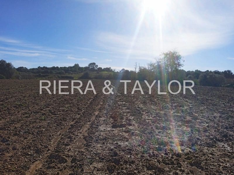 Undeveloped Land for sale in Santa Margalida - € 220,000 (Ref: 7267082)