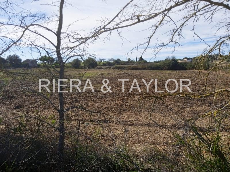 Undeveloped Land for sale in Santa Margalida - € 220,000 (Ref: 7267082)