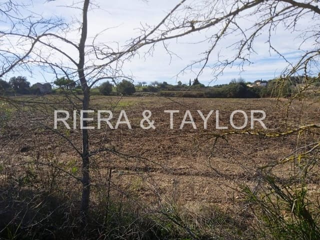 Undeveloped Land for sale in Santa Margalida - € 220,000 (Ref: 7267082)