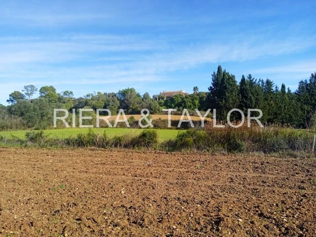 Undeveloped Land for sale in Santa Margalida - € 220,000 (Ref: 7267082)