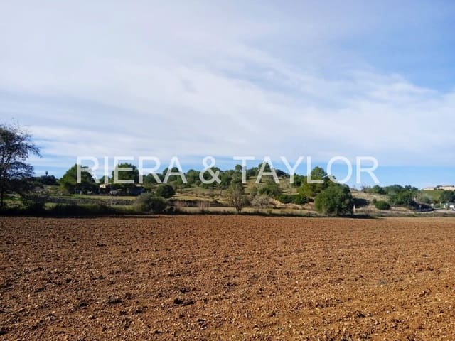 Undeveloped Land for sale in Santa Margalida - € 220,000 (Ref: 7267082)