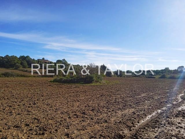 Undeveloped Land for sale in Santa Margalida - € 220,000 (Ref: 7267082)