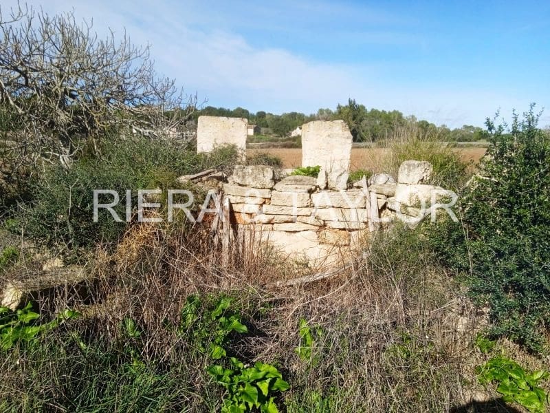 Undeveloped Land for sale in Santa Margalida - € 220,000 (Ref: 7267082)