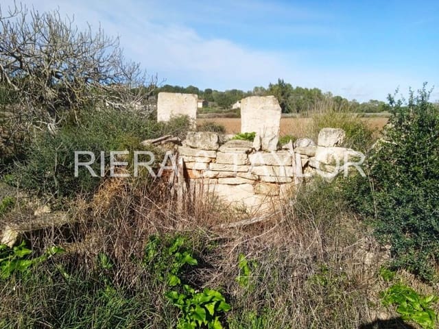 Undeveloped Land for sale in Santa Margalida - € 220,000 (Ref: 7267082)