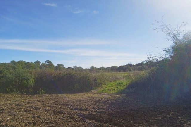 Grond te koop in Santa Margalida - € 220.000 (Ref: 7267082)