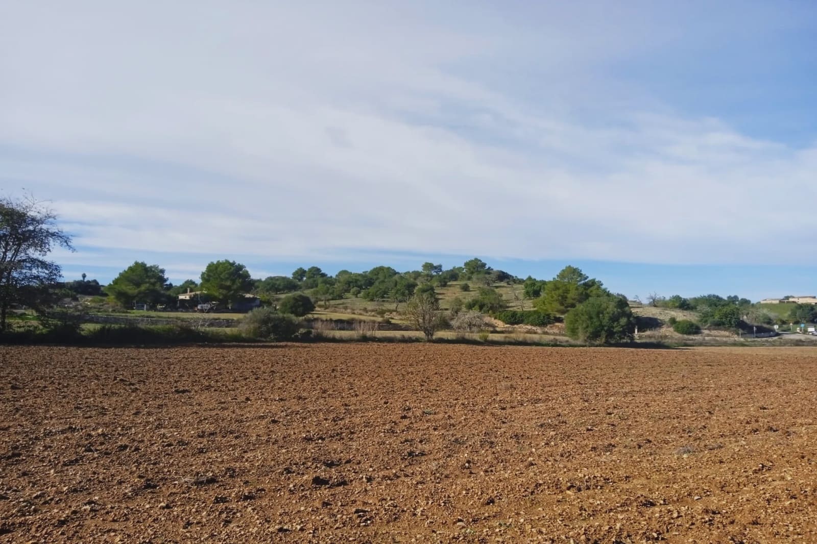 Teren niezagospodarowany na sprzedaż w Santa Margalida - 220 000 € (Ref: 7267082)