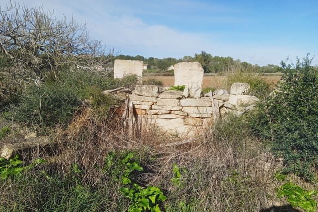 Grond te koop in Santa Margalida - € 220.000 (Ref: 7267082)