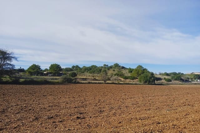 Grond te koop in Santa Margalida - € 220.000 (Ref: 7267082)