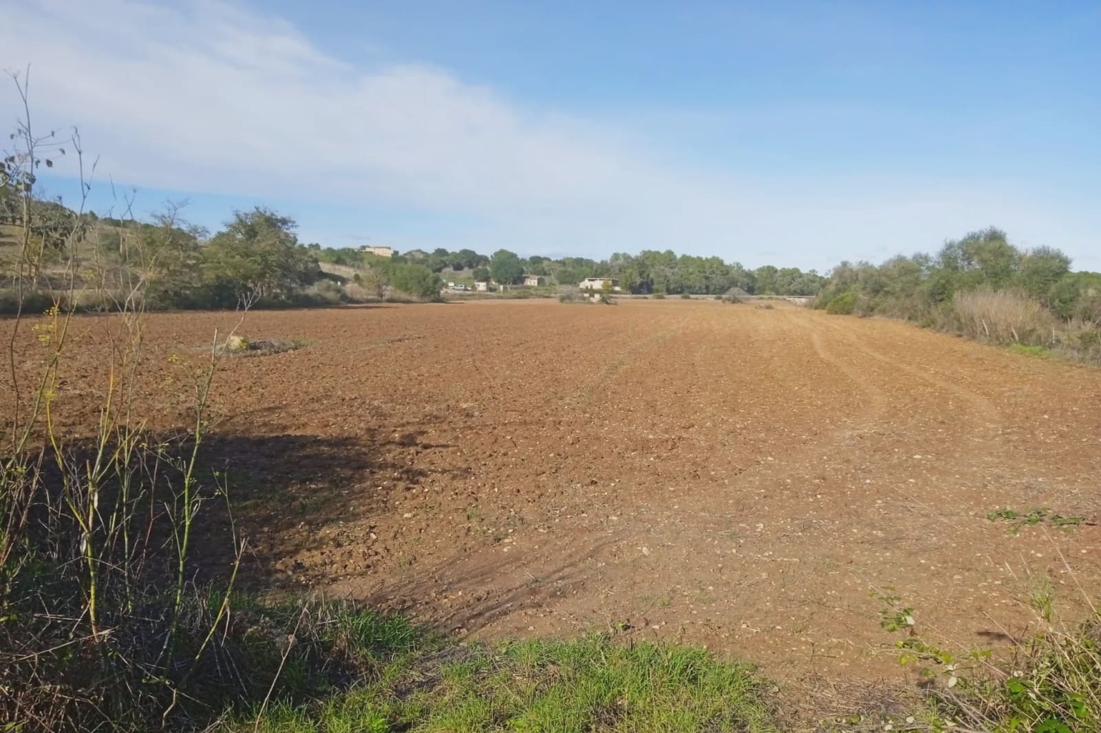 Teren niezagospodarowany na sprzedaż w Santa Margalida - 220 000 € (Ref: 7267082)