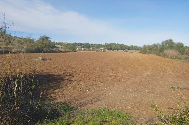 Grond te koop in Santa Margalida - € 220.000 (Ref: 7267082)