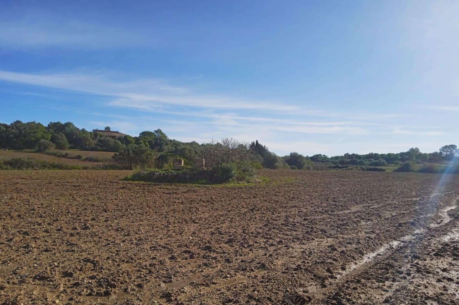 Teren niezagospodarowany na sprzedaż w Santa Margalida - 220 000 € (Ref: 7267082)