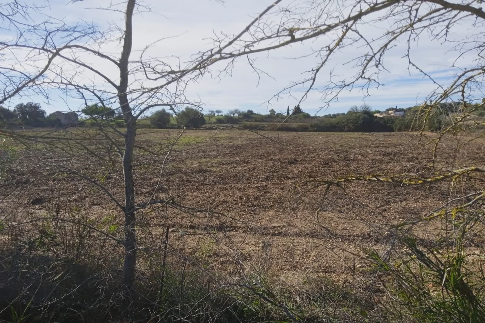 Teren niezagospodarowany na sprzedaż w Santa Margalida - 220 000 € (Ref: 7267082)