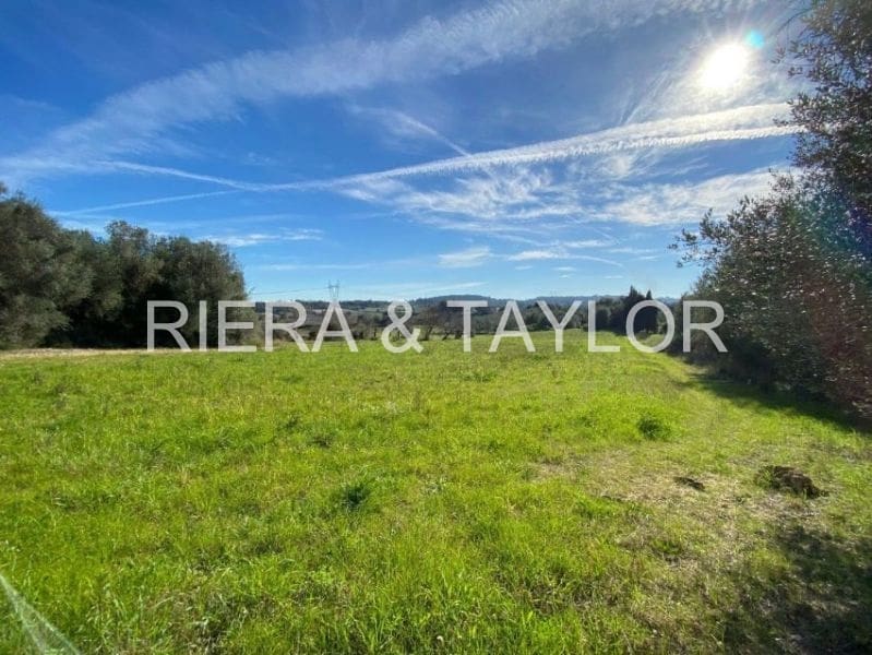 Terreno Não Urbanizado para venda em Muro - 270 428 € (Ref: 7284878)