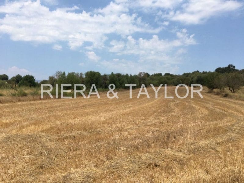 Terreno Não Urbanizado para venda em Muro - 270 428 € (Ref: 7284878)