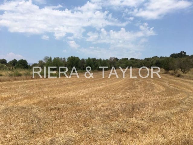 Undeveloped Land for sale in Muro - € 270,428 (Ref: 7284878)