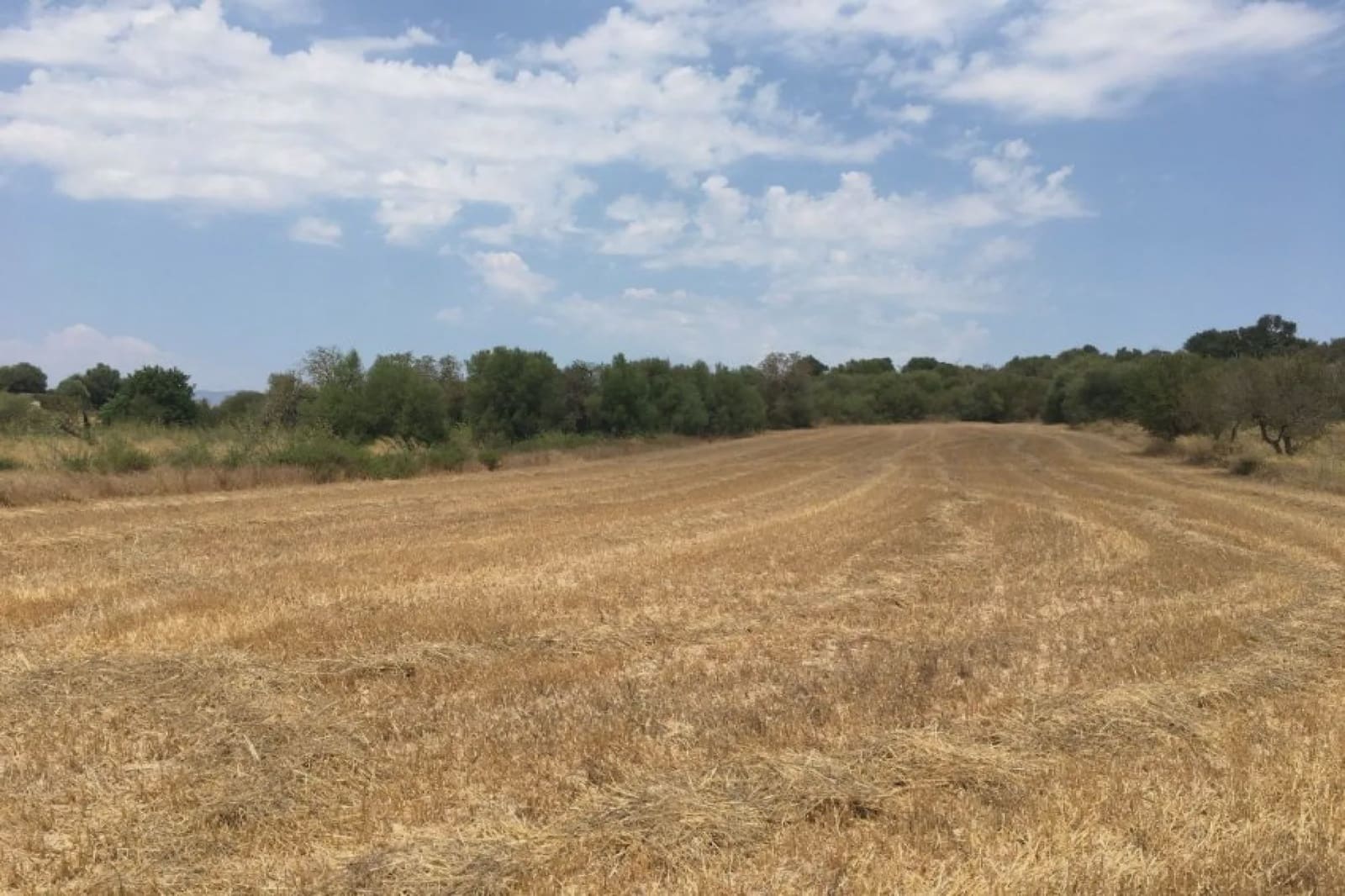 Rakentamaton maa myytävänä paikassa Muro - 270 428 € (Ref: 7284878)