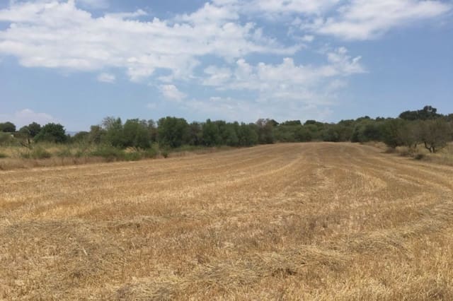 Terreno Non Edificato in vendita in Muro - 270.428 € (Rif: 7284878)