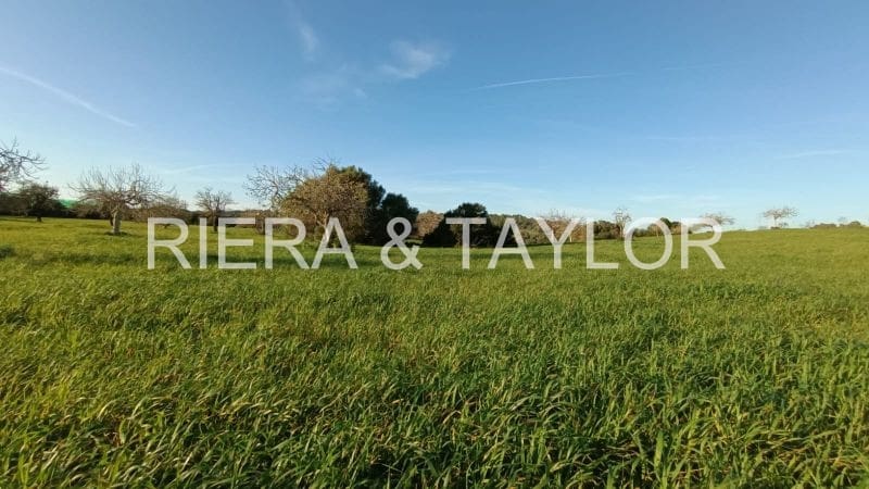 Undeveloped Land for sale in Manacor - € 180,000 (Ref: 7362991)