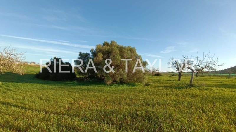 Undeveloped Land for sale in Manacor - € 180,000 (Ref: 7362991)