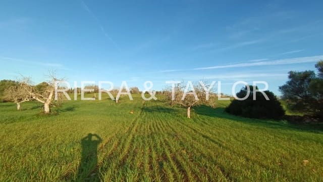 Undeveloped Land for sale in Manacor - € 180,000 (Ref: 7362991)