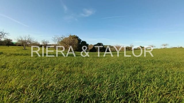 Undeveloped Land for sale in Manacor - € 180,000 (Ref: 7362991)