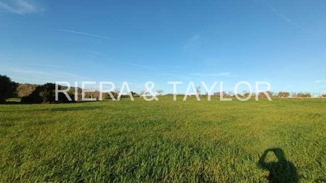 Undeveloped Land for sale in Manacor - € 180,000 (Ref: 7362991)