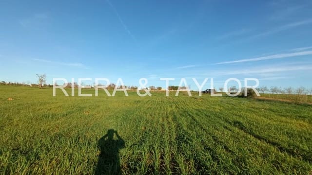 Undeveloped Land for sale in Manacor - € 180,000 (Ref: 7362991)
