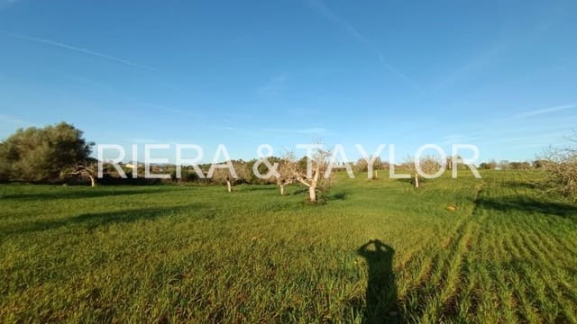 Undeveloped Land for sale in Manacor - € 180,000 (Ref: 7362991)