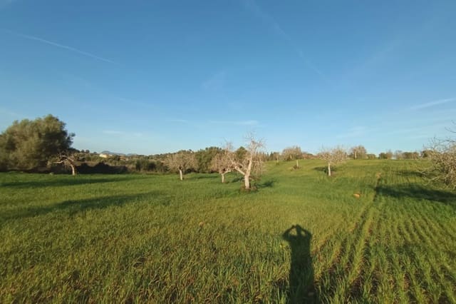 Grunde uden byggetilladelser til salg i Manacor - € 180.000 (Ref: 7362991)