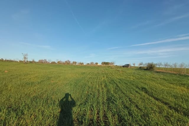 Grunde uden byggetilladelser til salg i Manacor - € 180.000 (Ref: 7362991)