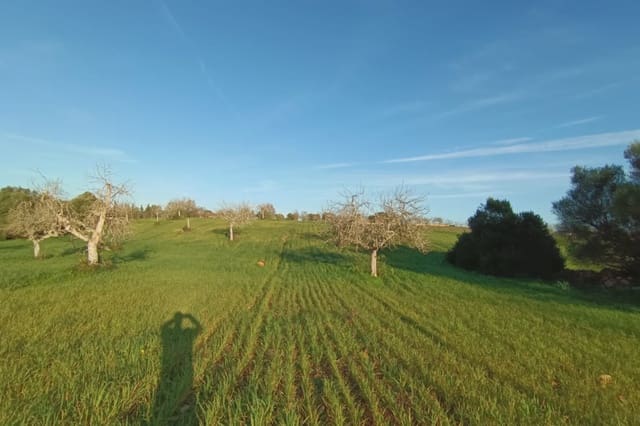 Grunde uden byggetilladelser til salg i Manacor - € 180.000 (Ref: 7362991)