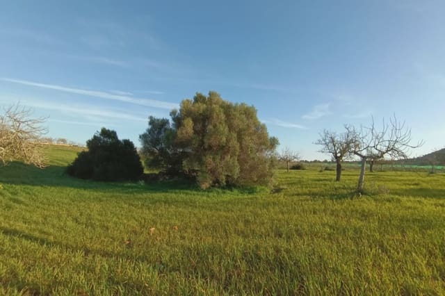 Grunde uden byggetilladelser til salg i Manacor - € 180.000 (Ref: 7362991)