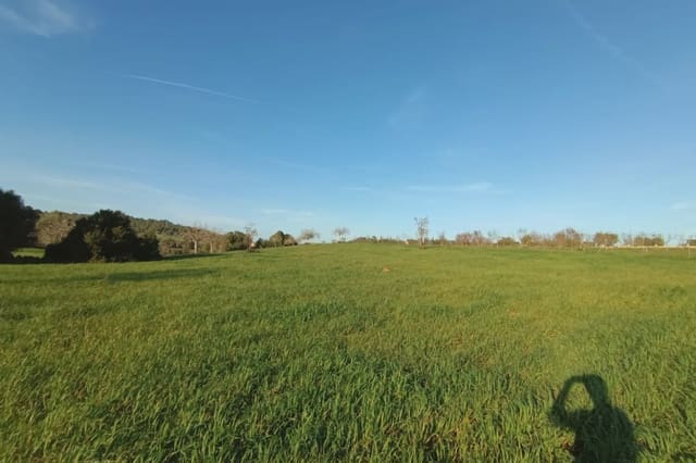 Grunde uden byggetilladelser til salg i Manacor - € 180.000 (Ref: 7362991)