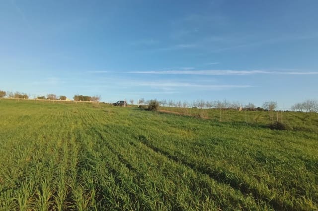 Grunde uden byggetilladelser til salg i Manacor - € 180.000 (Ref: 7362991)