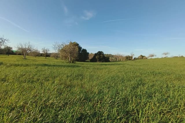 Grunde uden byggetilladelser til salg i Manacor - € 180.000 (Ref: 7362991)