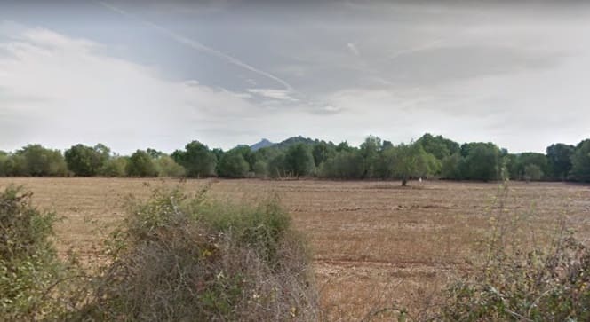 Landgrundstück zu verkaufen in Felanitx - 340.000 € (Ref: 7385431)