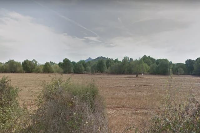 Mark till salu i Felanitx - 340 000 € (Ref: 7385431)