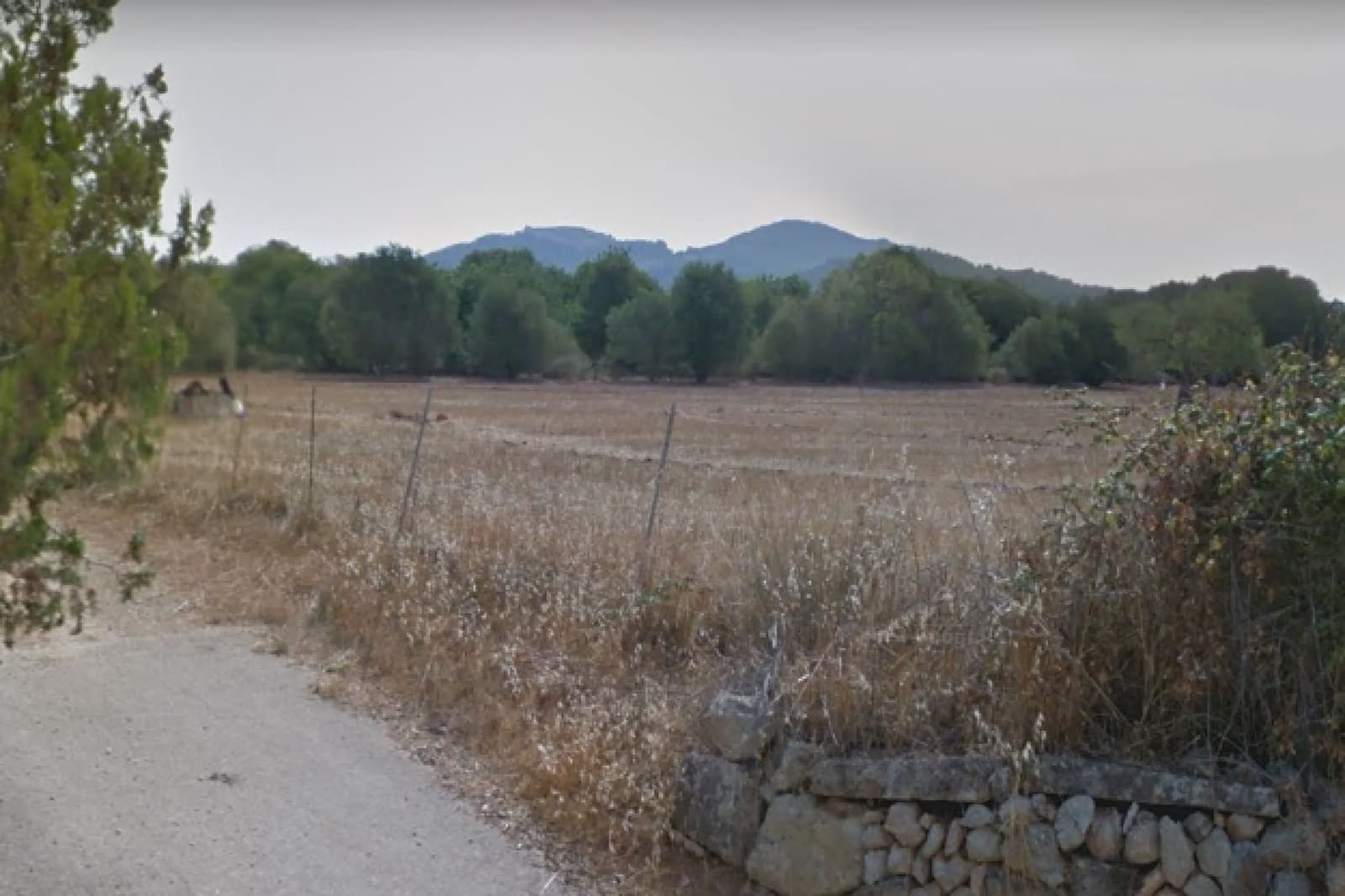 Undeveloped Land for sale in Felanitx - € 340,000 (Ref: 7385431)