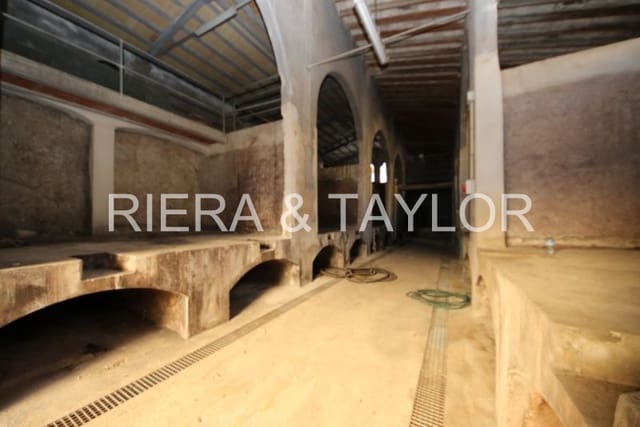 Restaurant/bar te koop in Manacor - € 1.100.000 (Ref: 7385439)