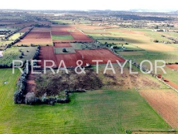 Teren niezagospodarowany na sprzedaż w Felanitx - 275 000 € (Ref: 7399828)