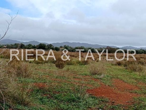 Teren niezagospodarowany na sprzedaż w Felanitx - 275 000 € (Ref: 7399828)