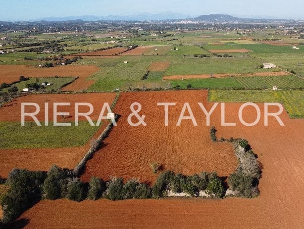 Teren niezagospodarowany na sprzedaż w Felanitx - 275 000 € (Ref: 7399828)