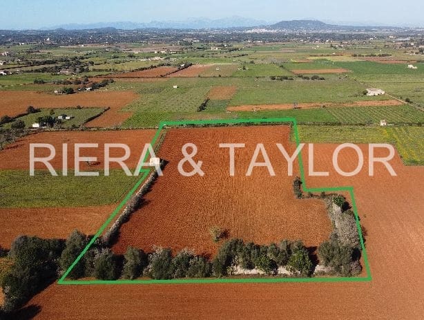 Teren niezagospodarowany na sprzedaż w Felanitx - 275 000 € (Ref: 7399828)