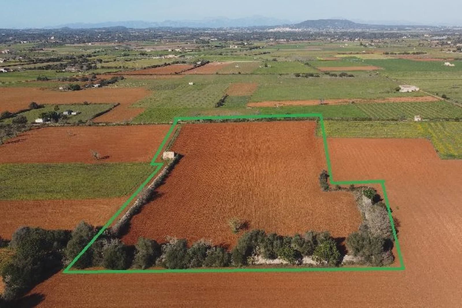 Undeveloped Land for sale in Felanitx - € 275,000 (Ref: 7399828)