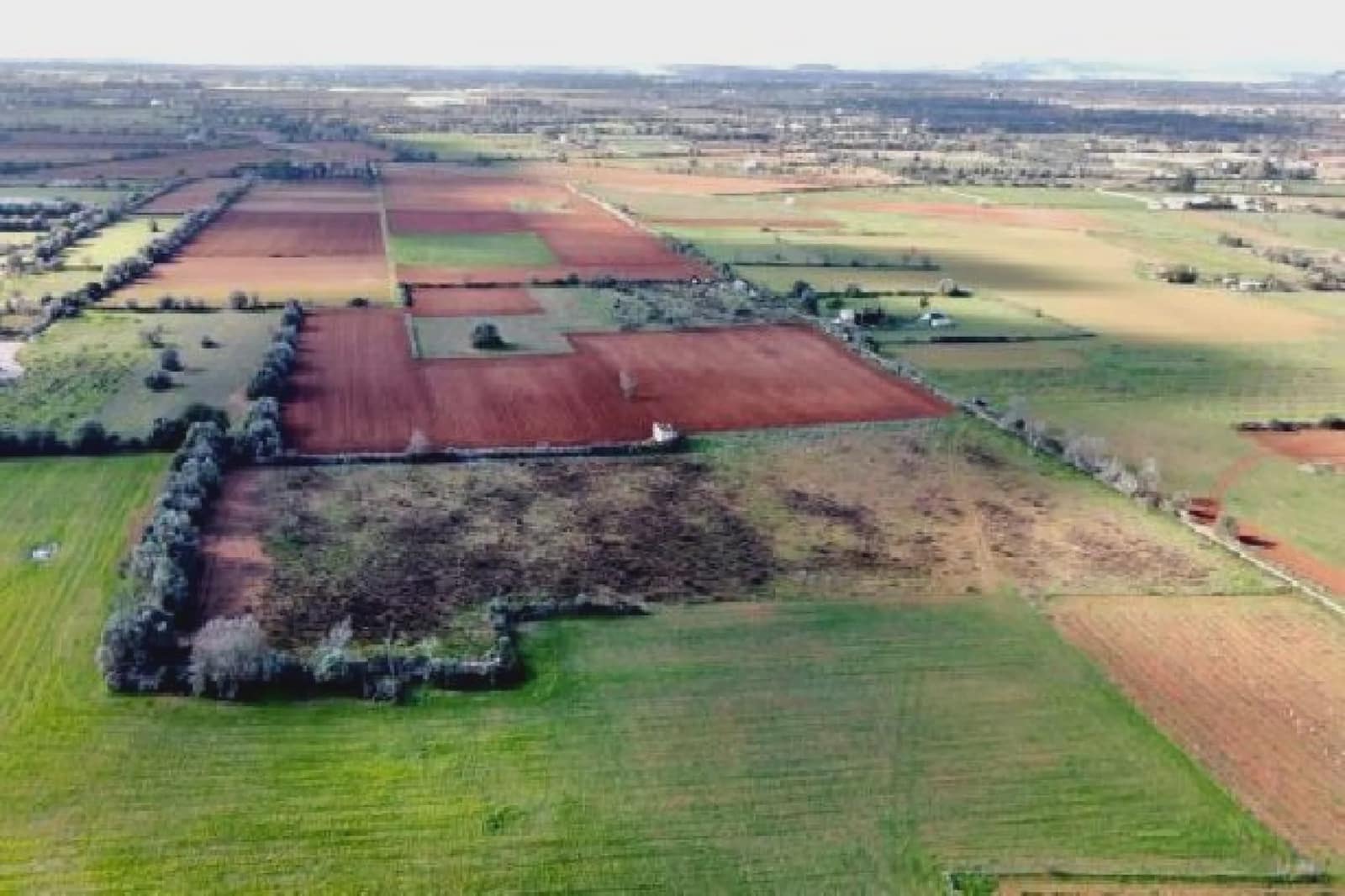 Undeveloped Land for sale in Felanitx - € 275,000 (Ref: 7399828)