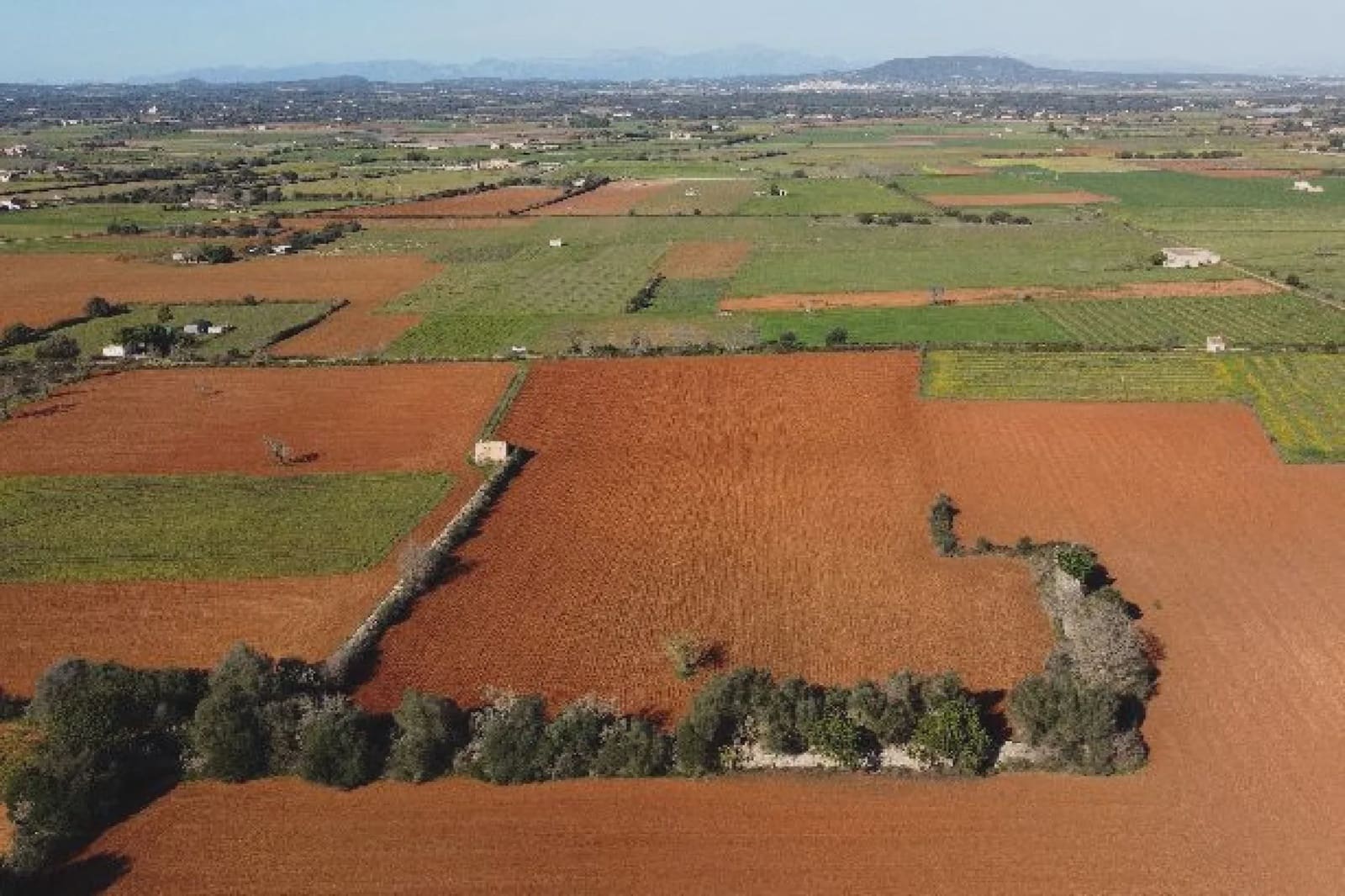 Undeveloped Land for sale in Felanitx - € 275,000 (Ref: 7399828)